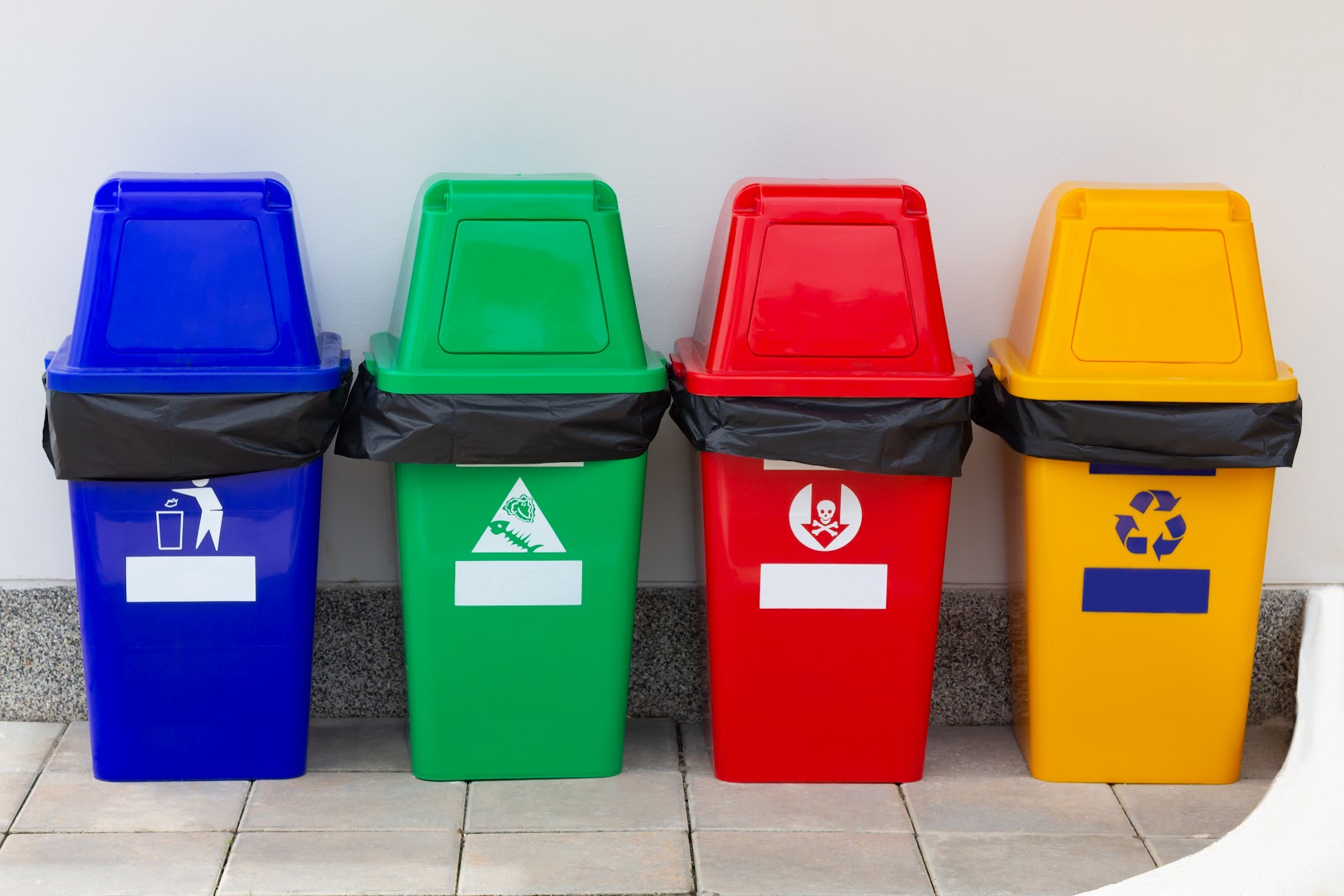 Conheça a lixeira reciclável, o carrinho coletor e a coleta de lixo reciclável
